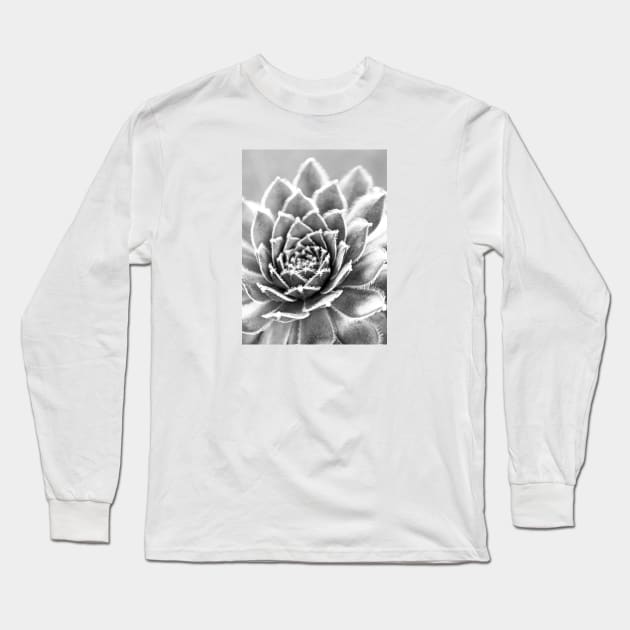 Succulent Long Sleeve T-Shirt by fineart